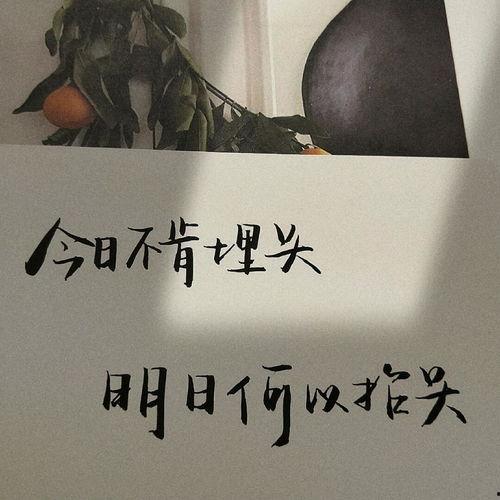 朋友娱乐圈吃瓜文案短句,揭秘明星幕后故事